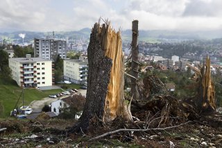 Après avoir collaboré à la sécurisation des arbres dans l’aire urbaine de La Chaux-de-Fonds, le personnel spécialisé du canton de Neuchâtel entreprend désormais les travaux nécessaires au sein des forêts.